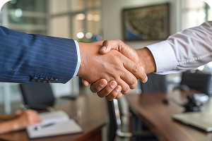 Corporate and Business Integrity