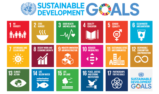 Sustainability