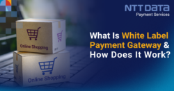 what is white label payment gateway