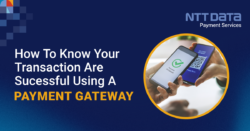 how-to-know-transactions-are-successful-in-payment-gateway