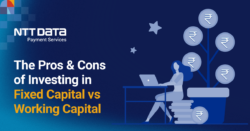 Fixed Capital vs Working Capital