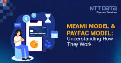 meami modal and payfac model