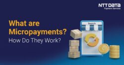 what are micropayments